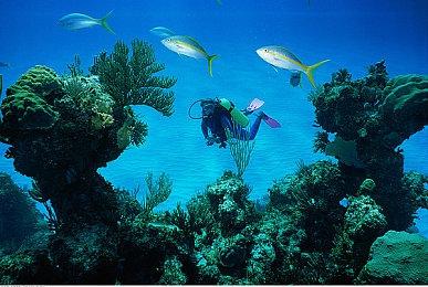 《超级肌肉猫》登陆Steam 爆笑2D横版动作新游